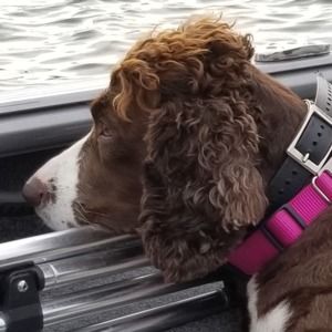 Meet your Posher, Cassandra